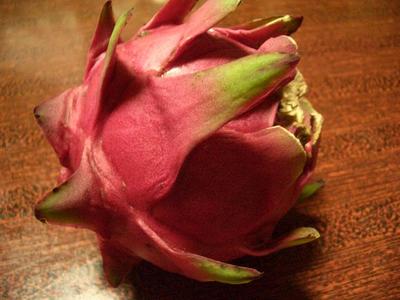 v110821-dragonfruit1.JPG