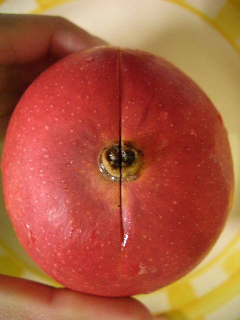 マンゴーの食べやすい切り方 レシピ 九州の野菜果物まにあ