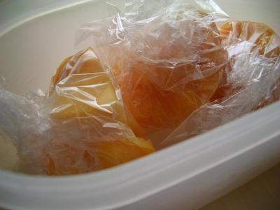 v110903-mangoK7.JPG