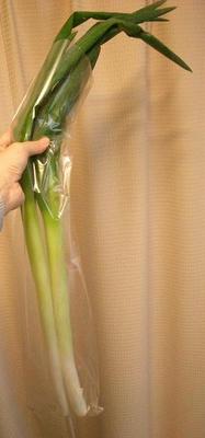 v111225-ryosai07.JPG
