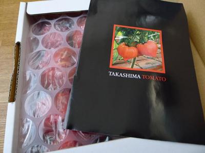 v120624-tomato01.JPG